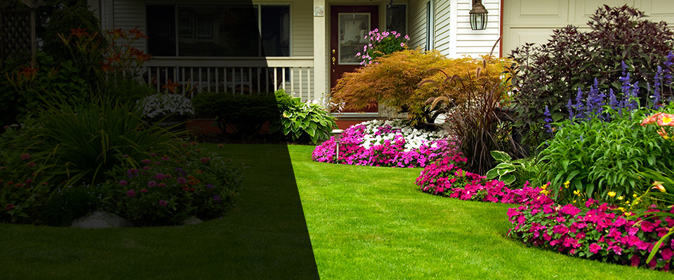 Waycross Landscapers