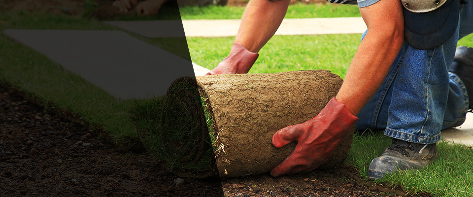 Waycross Landscapers